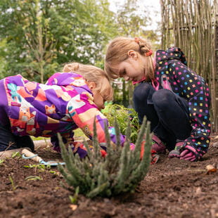 Britská medzinárodná škola Bratislava | BISB | Nord Anglia - SK - 04 - Feature Cards Pattern