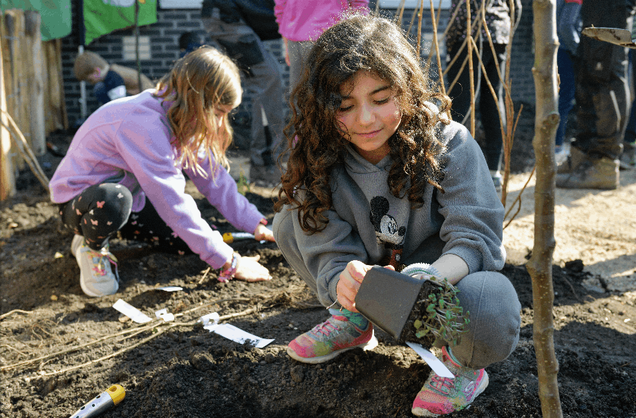 Social Purpose | NAIS Rotterdam - Image-50-50