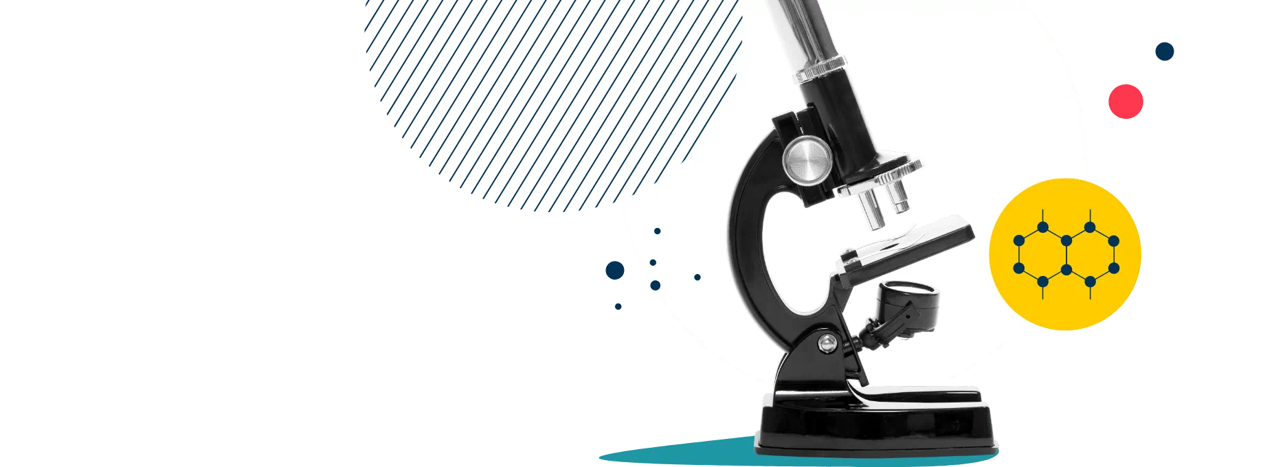 International Schools in Dalian | Nord Anglia Education - 051 - Feature Cards Pattern