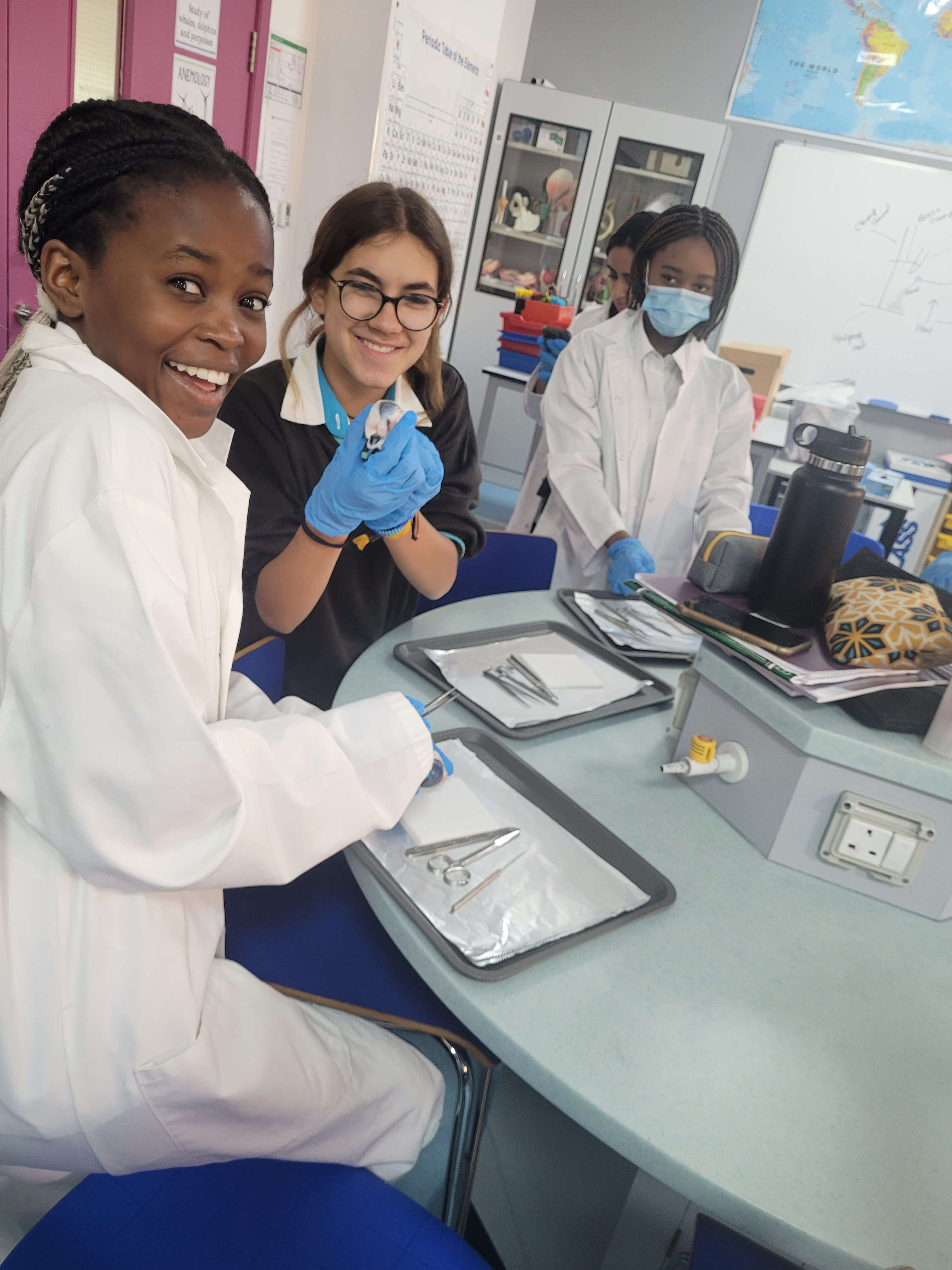 Year 10 Eye Dissection - Carousel For News Detail