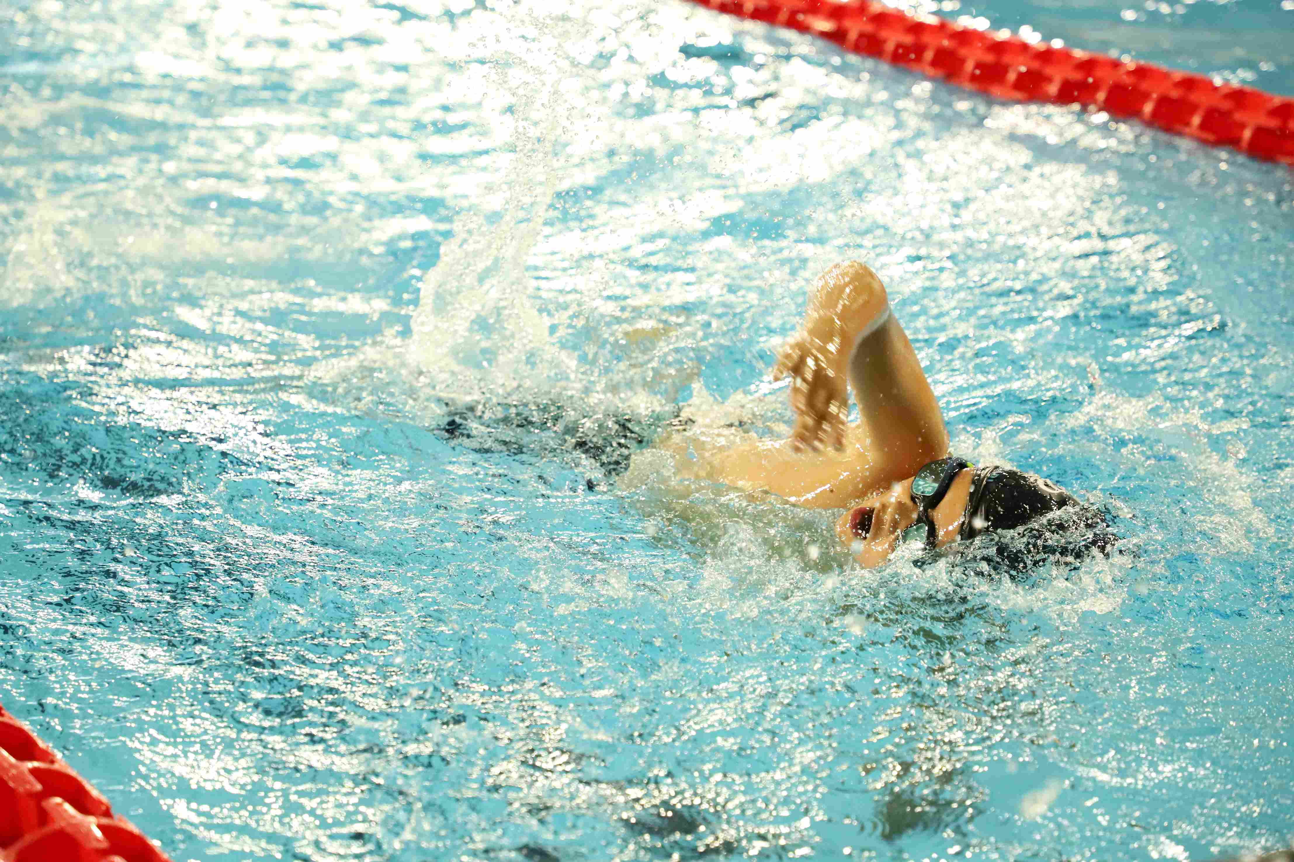 BSME Swimming Championships 2023 - Carousel For News Detail