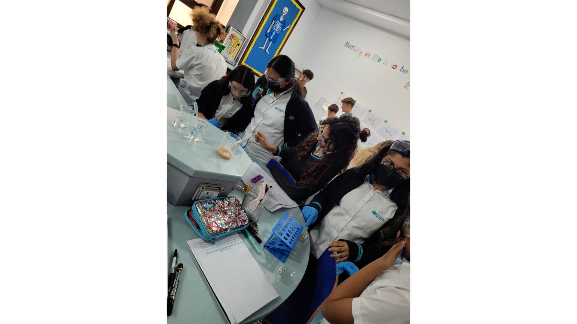 Year 9 Biology Enzyme Action - Carousel For News Detail