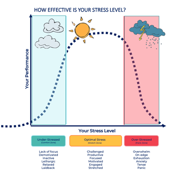 Stress Level | BIS Hanoi