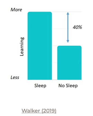 Sleep chart | BIS Hanoi