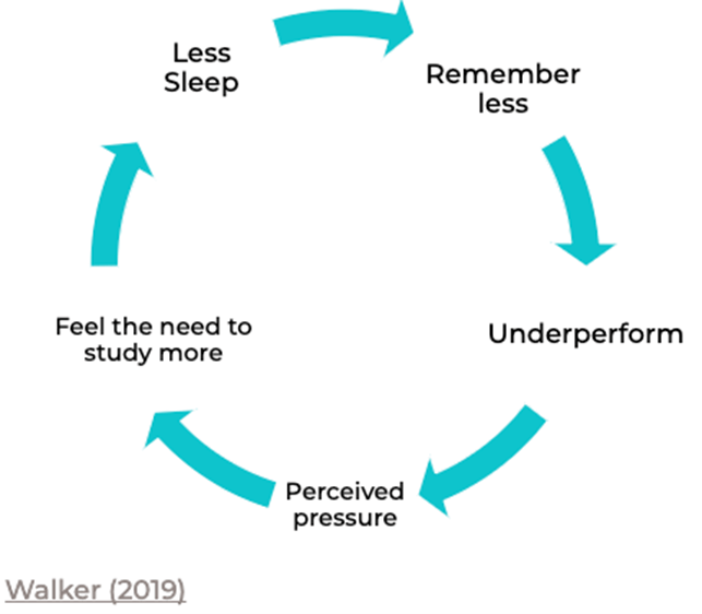 Sleep chart | BIS Hanoi