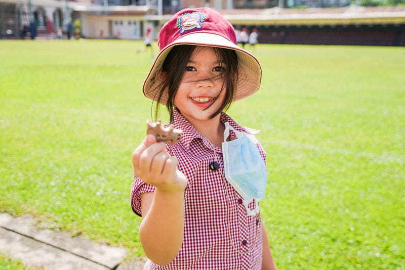 The IPC at BIS - Capturing Curiosity and Celebrating Learning - The IPC at BIS - Capturing Curiosity and Celebrating Learning