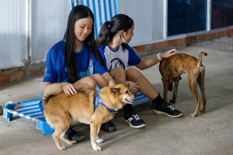 Student-led rock concert Live Aid supports Laws for Paws and Heartbeat Vietnam - Student-led rock concert Live Aid supports Laws for Paws and Heartbeat Vietnam