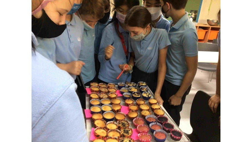 imgonlinecomuaCompressToSize4rNSSbgDFBFe8