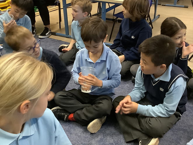 Year 2 Egg Experiment - Carousel For News Detail