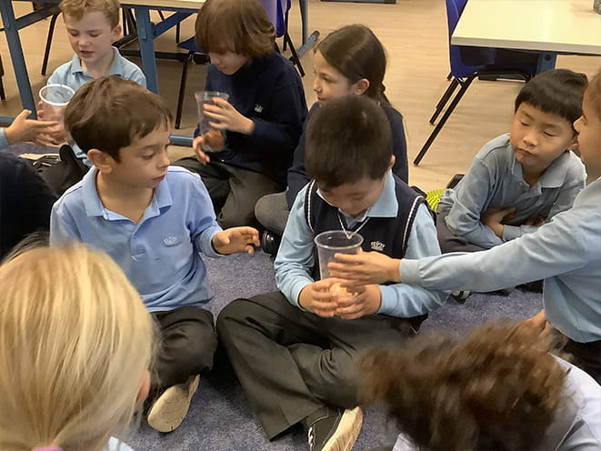 Year 2 Egg Experiment - Carousel For News Detail