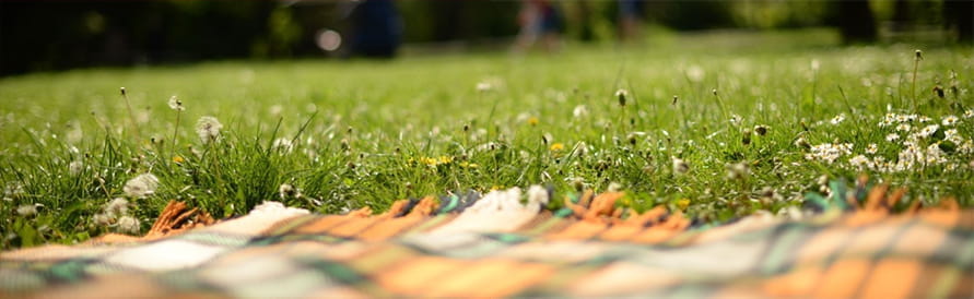 BISB 2023 Primary Summer Reading Challenge - BISB 2023 Primary Summer Reading Challenge