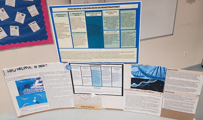 Research Projects - Carousel For News Detail