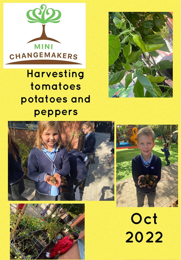 Mini Changemakers