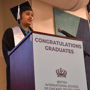 About Us | BIS Chicago, South Loop | Nord Anglia - 08 - Feature Cards Pattern