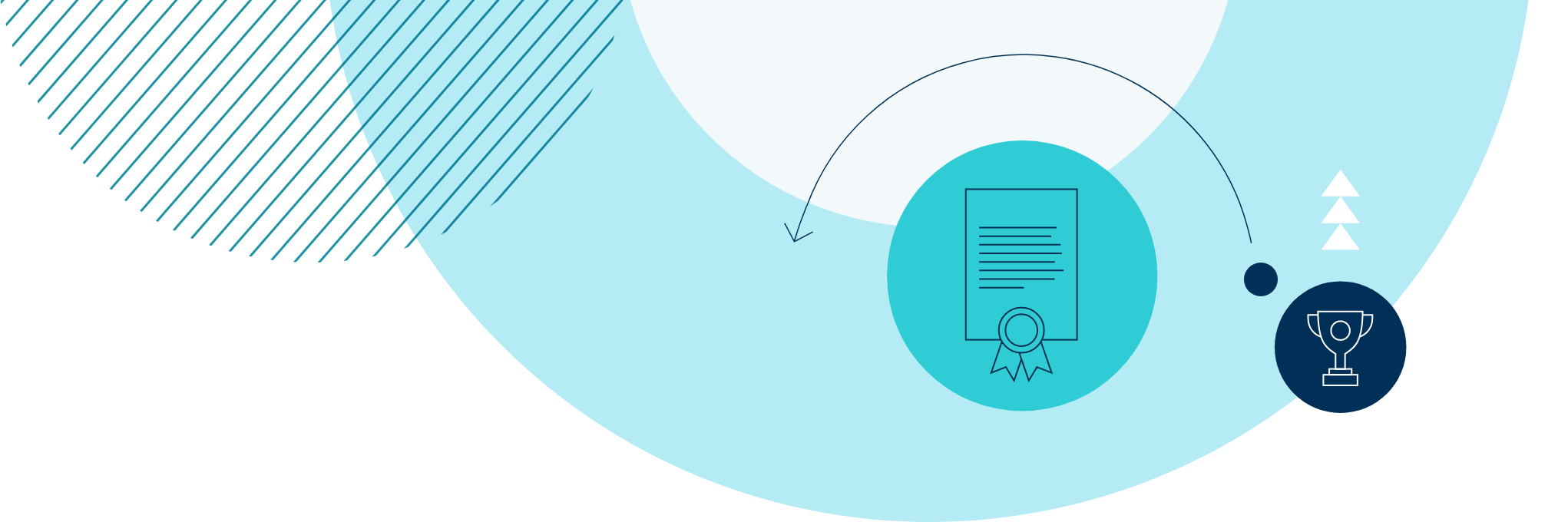 Parent Essentials | British International School of Washington - Feature Cards Pattern