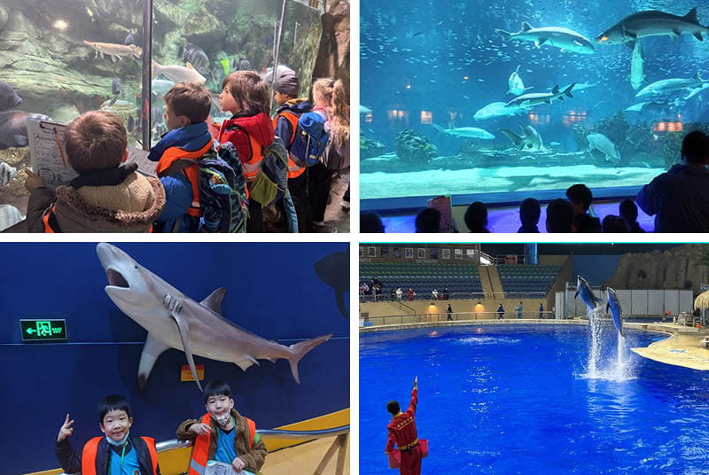 Year 2 EdTech Integrated Learning - Under the Sea! - Year 2 EdTech Integrated Learning Under the Sea