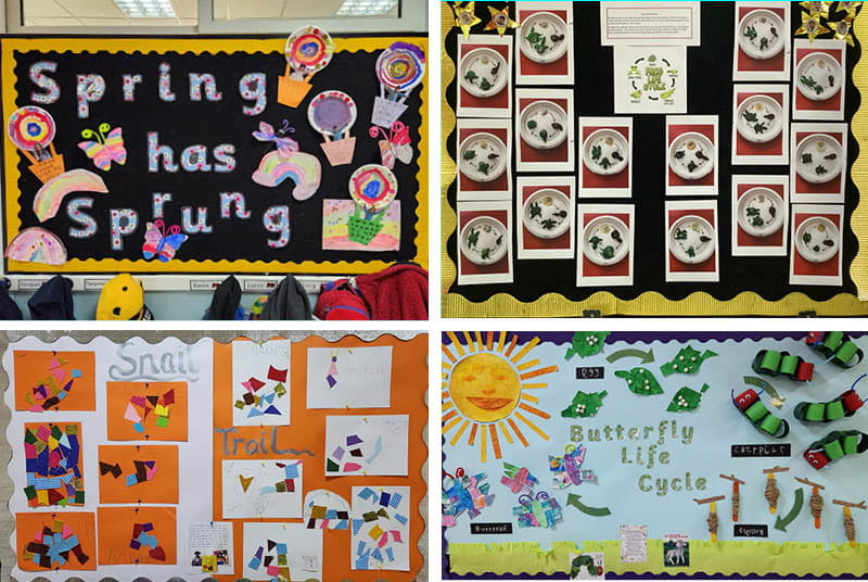 Reception Butterflies Frogs and Snails - Reception Butterflies Frogs and Snails