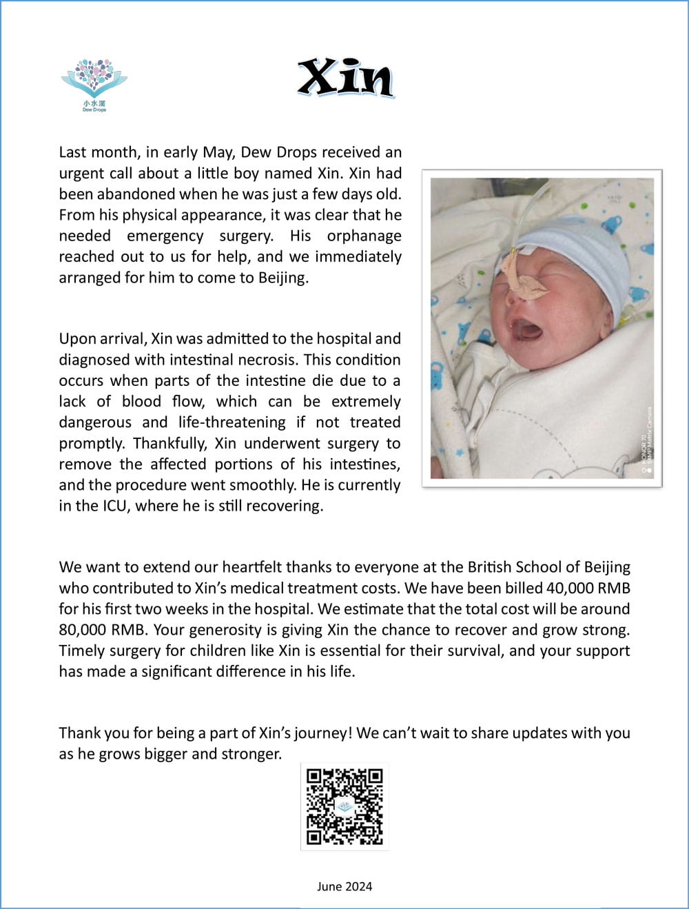 BSB Shunyi Summer Fair 2024 Thank You Everyone - BSB Shunyi Summer Fair 2024 Thank You Everyone