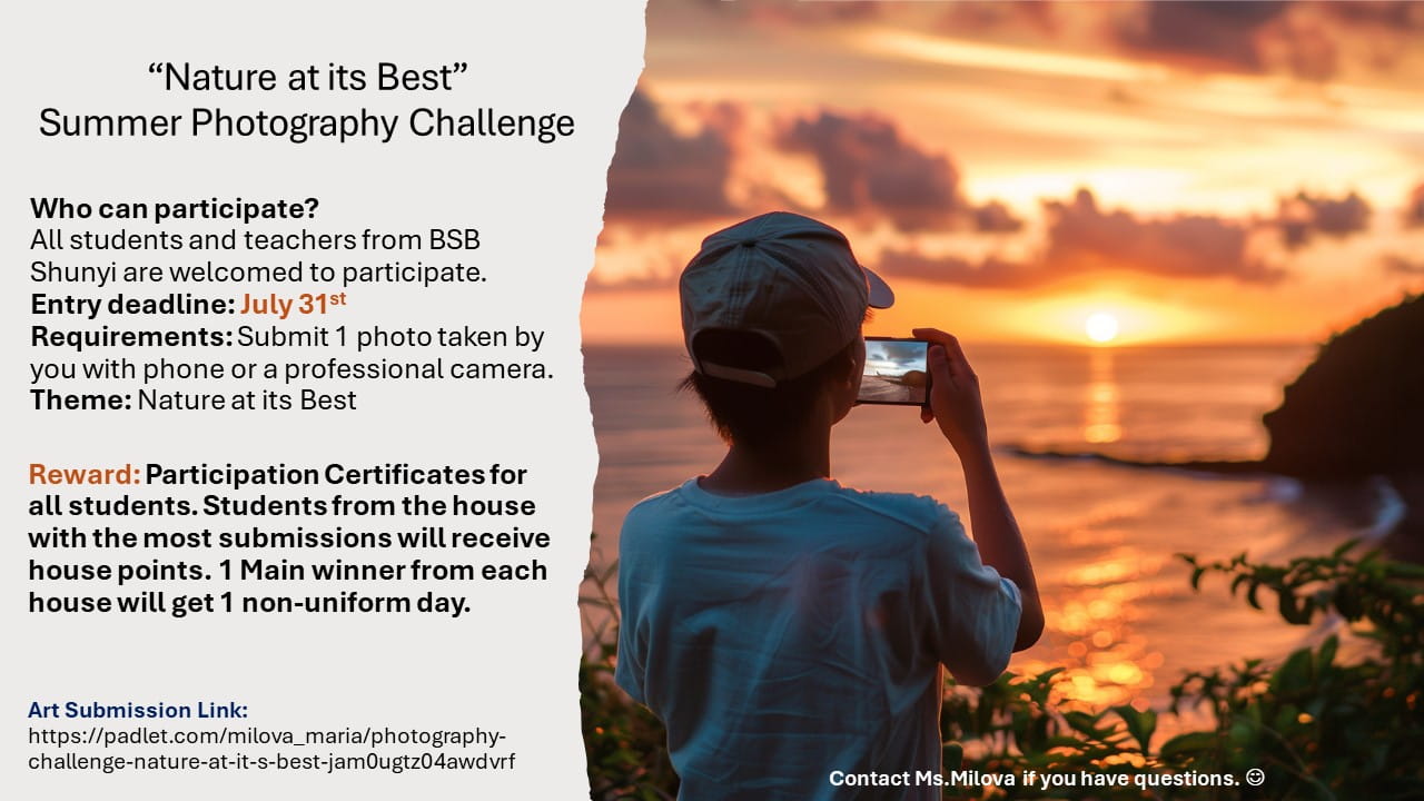 BSB Summer Art Challenges 2024 - BSB Summer Art Challenges 2024