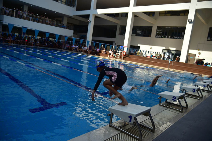 Swim Meet 2024