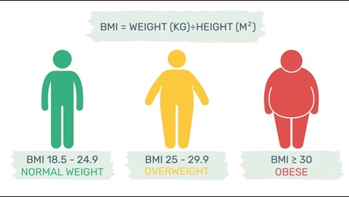 The role of microbiome in human health and diseases - The role of microbiome in human health and diseases