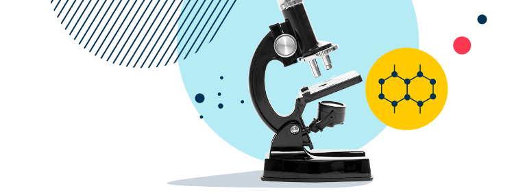 The British School Yangon | International School in Yangon | BSY - Image-50-pattern