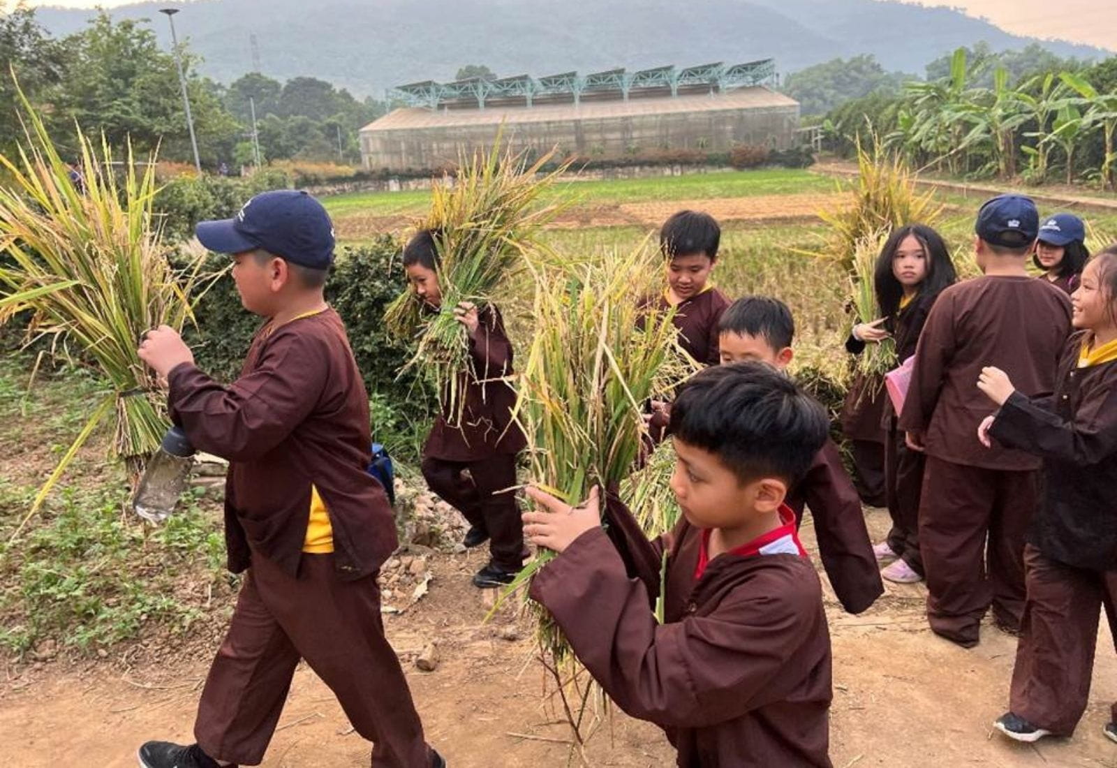 Weekly Updates on 3/11/2023 | BVIS Hanoi - Weekly Updates on 3-11-2023