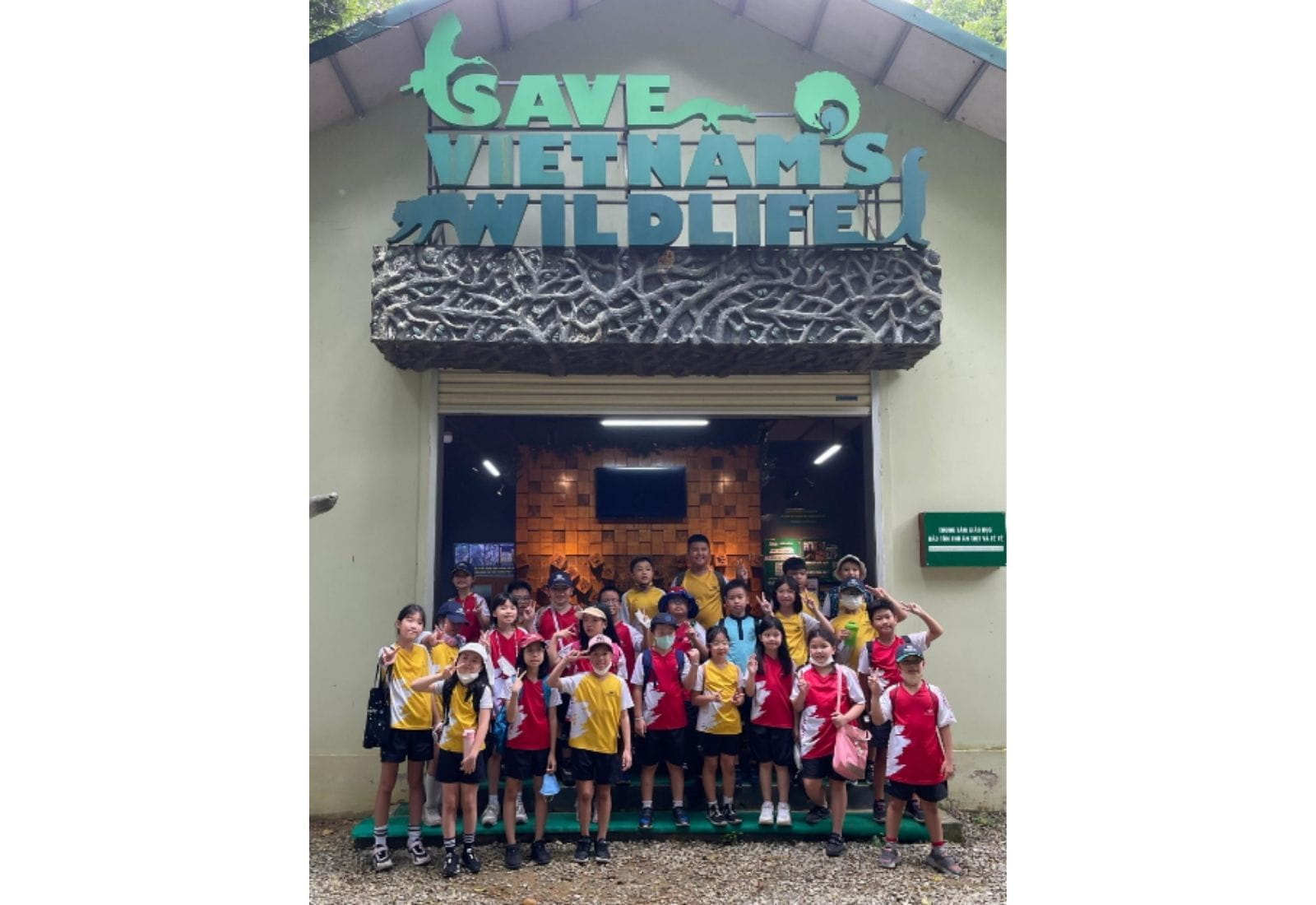 Weekly Updates on 3/11/2023 | BVIS Hanoi - Weekly Updates on 3-11-2023