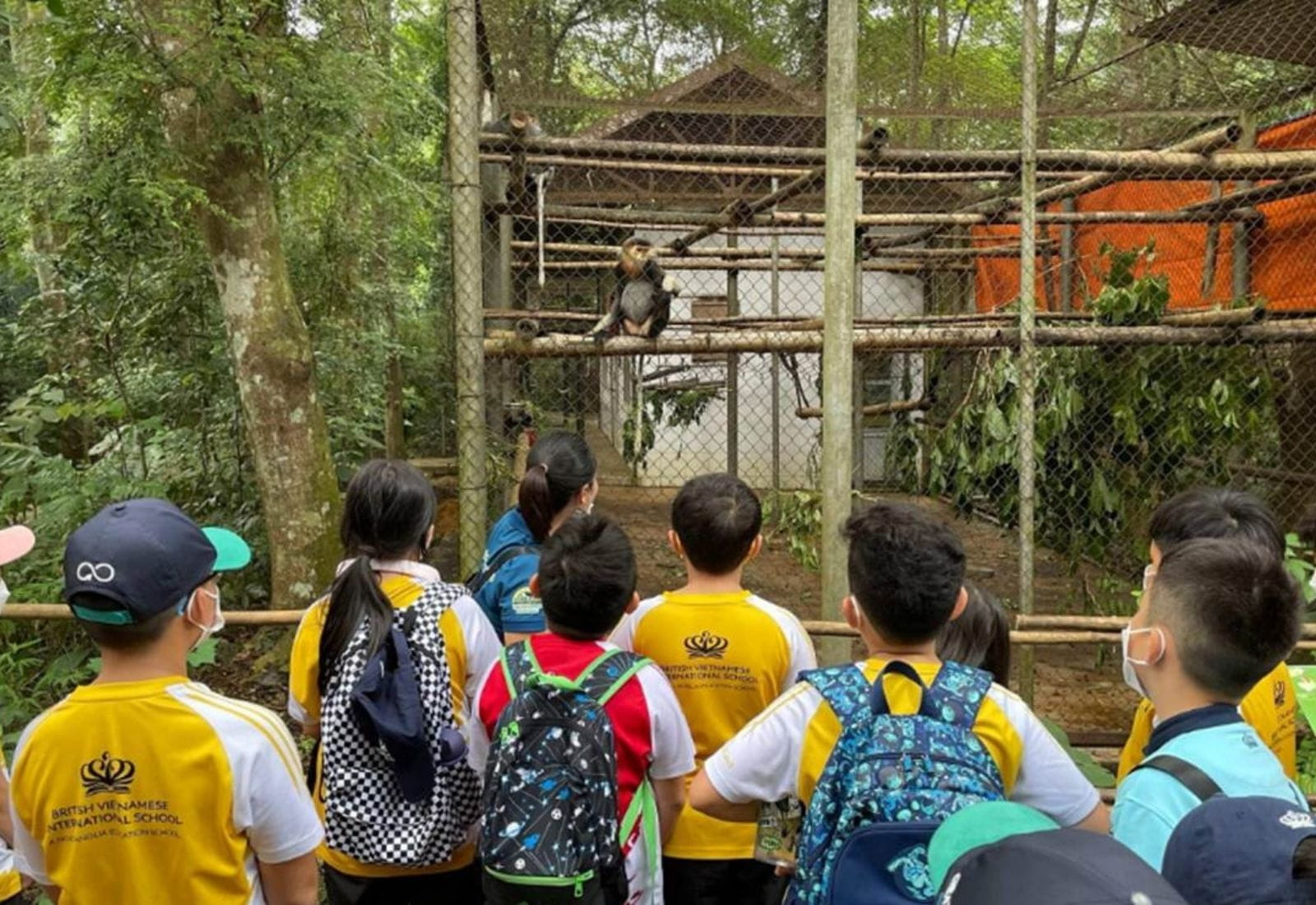 Weekly Updates on 3/11/2023 | BVIS Hanoi - Weekly Updates on 3-11-2023