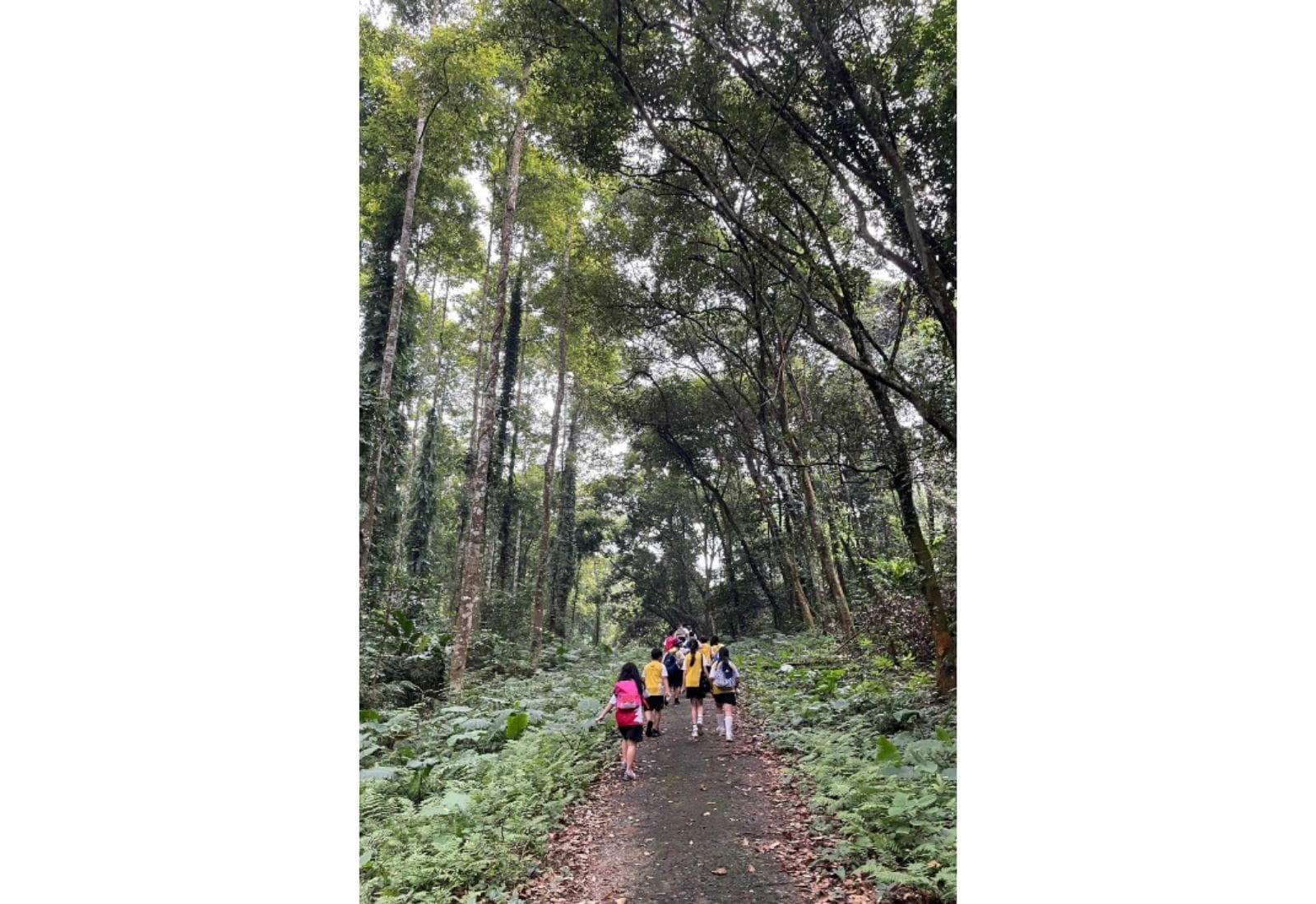 Weekly Updates on 3/11/2023 | BVIS Hanoi - Weekly Updates on 3-11-2023