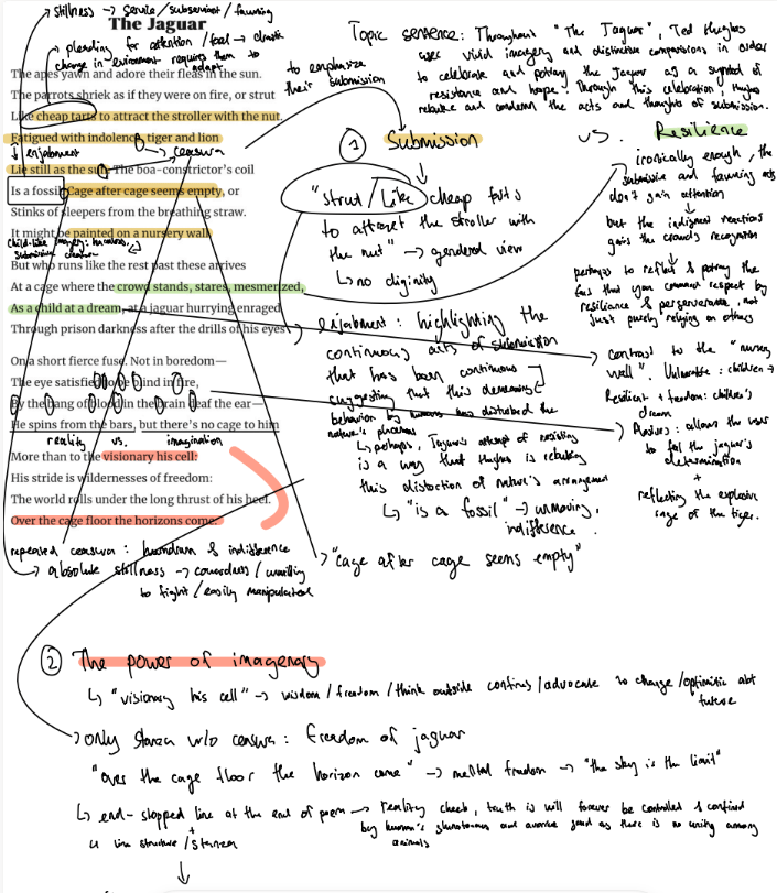 Weekly Updates on 23/08/2024 | BVIS Hanoi - Weekly Updates on 23-08-2024