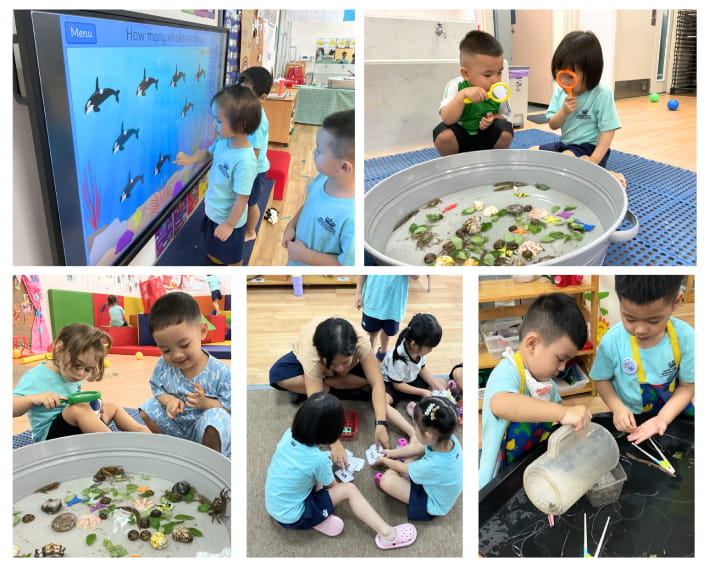 Weekly Updates on 31/05/2024 | BVIS Hanoi - Weekly Updates on 31-05-2024