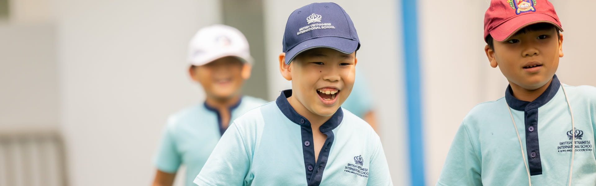 Staying Within Our Family of Schools | BVIS Hanoi - Feature Cards Pattern