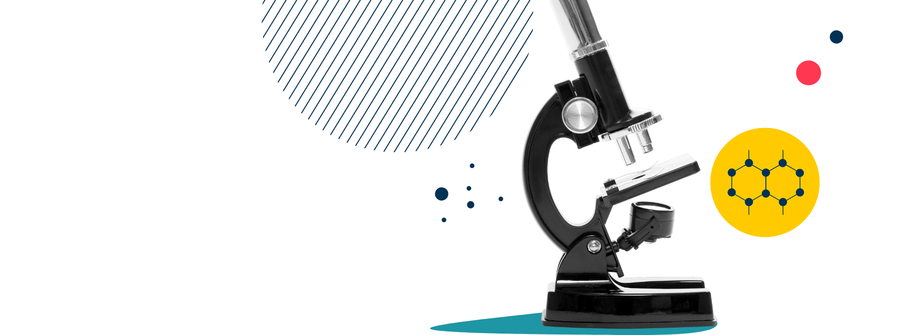 British Vietnamese International School HCMC | BVIS HCMC - Feature Cards Pattern 1