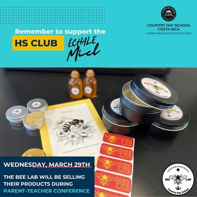 Words from Secondary - Words from Secondary