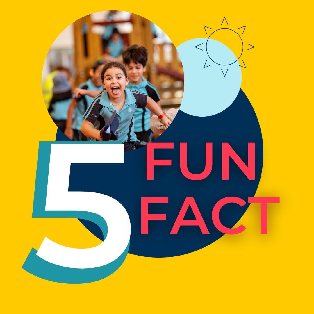 Welcome to Compass International School Doha - Feature Cards Pattern 1