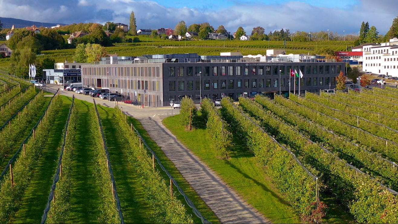 VideoStill_LCIS_Brand_2