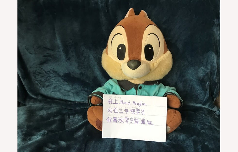 222346paddedw982h628of1f8f4f3mandarin6jpeg