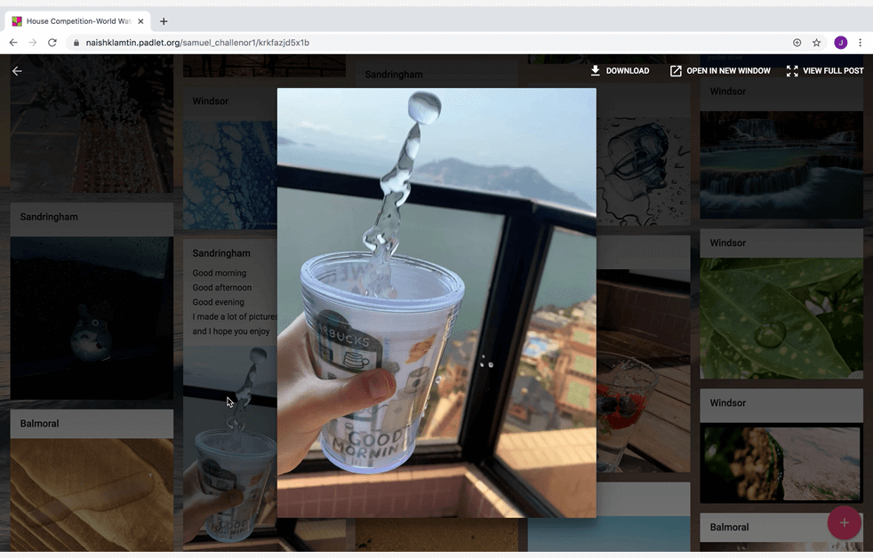 222348paddedw982h628of1f8f4f3worldwaterday4png