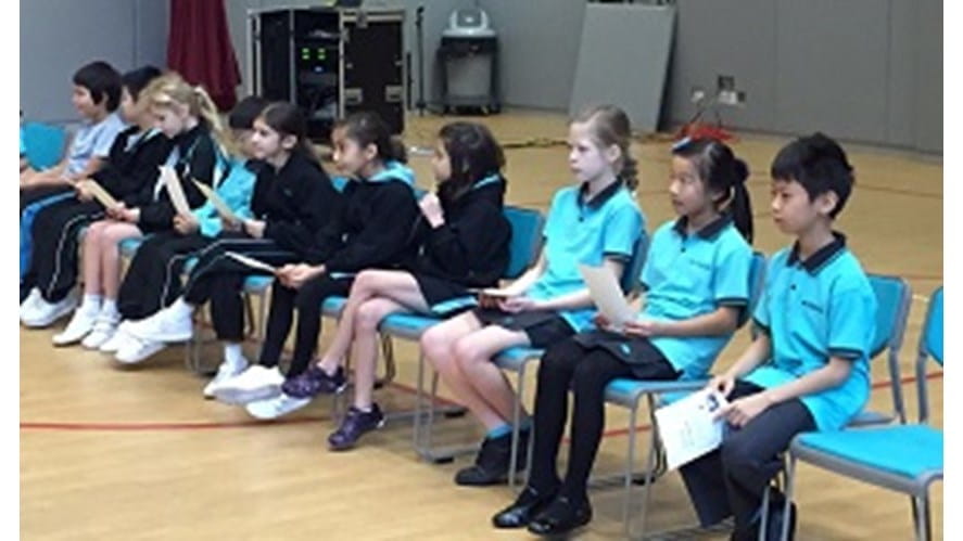 IMG_0345 300 x 160jpg