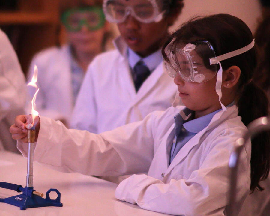 Nord Anglia International School New York Campus | NAISNY - Image-50-50 checklist