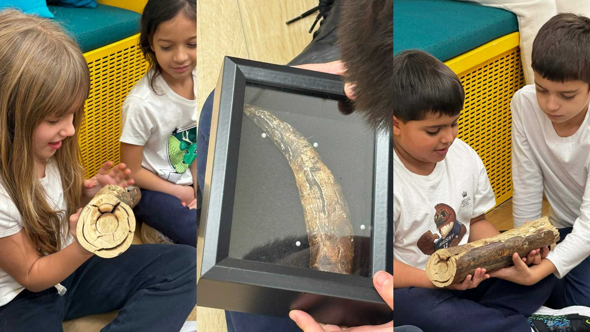 A Very Special Visitor - A Very Special Visitor