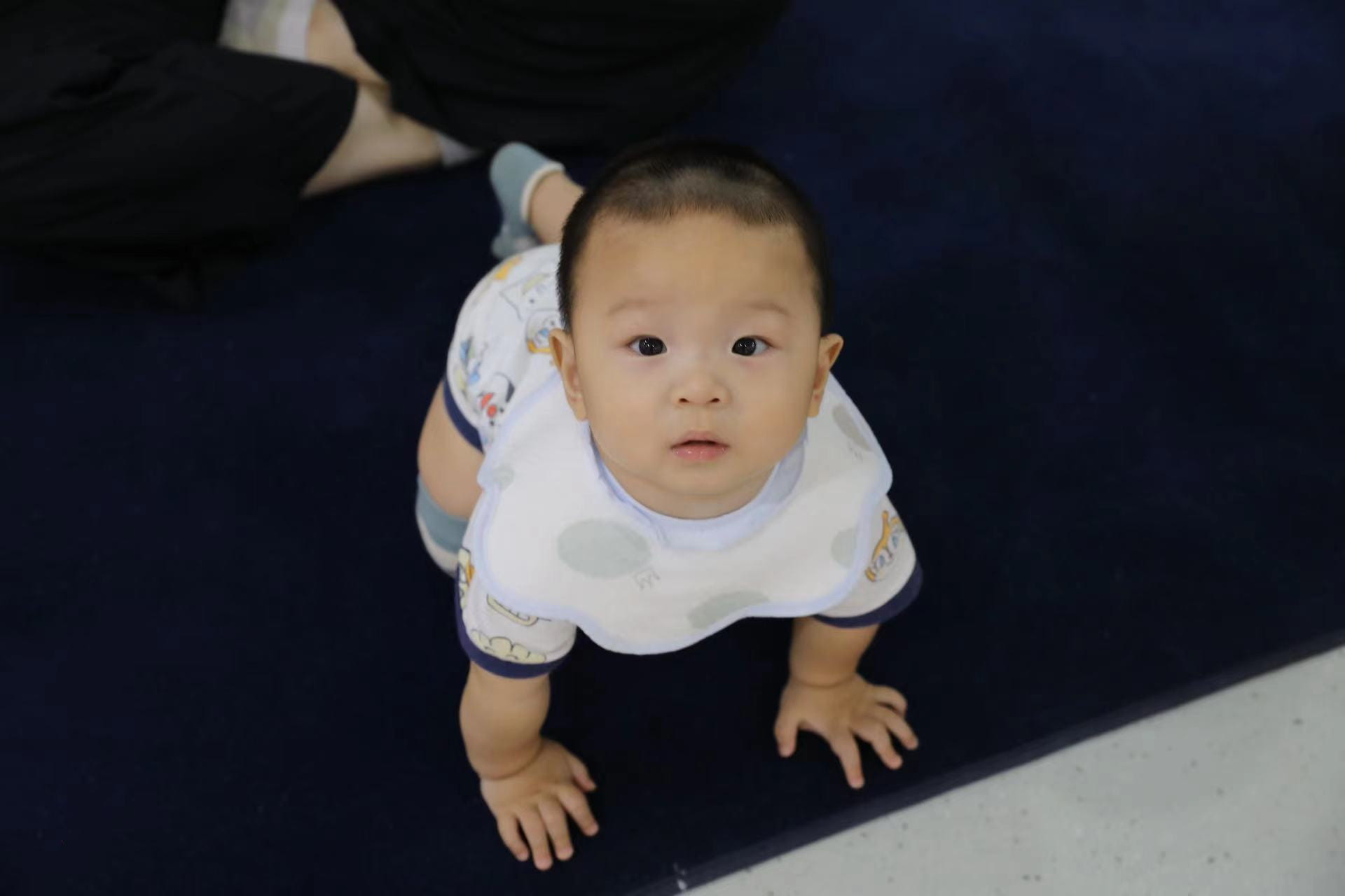 Tiger Cubs Sessions Restart - Tiger Cubs Sessions Restart