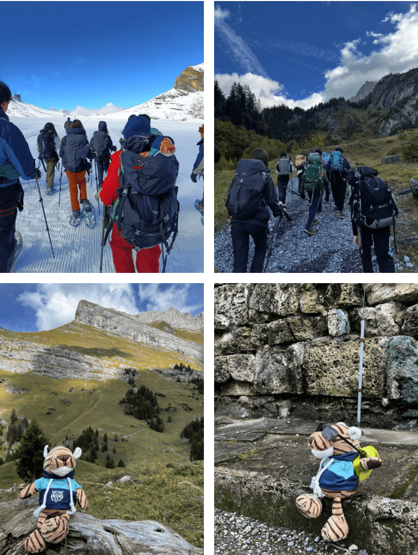 Summer Trekking in Switzerland - Summer Trekking in Switzerland