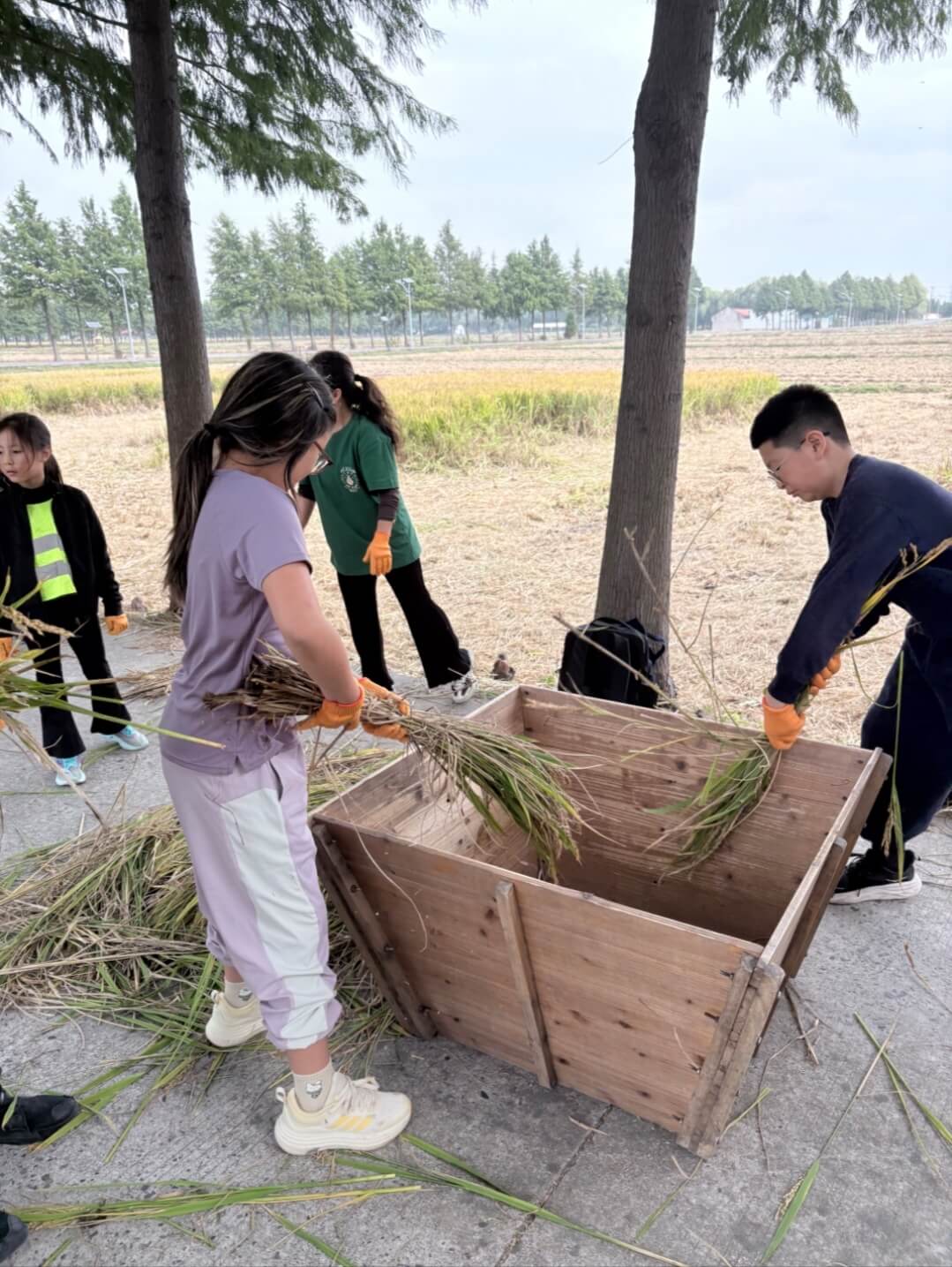 From field to table! - From field to table