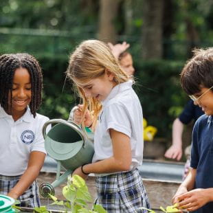 Clubs | North Broward Preparatory School - Feature Cards - US schools
