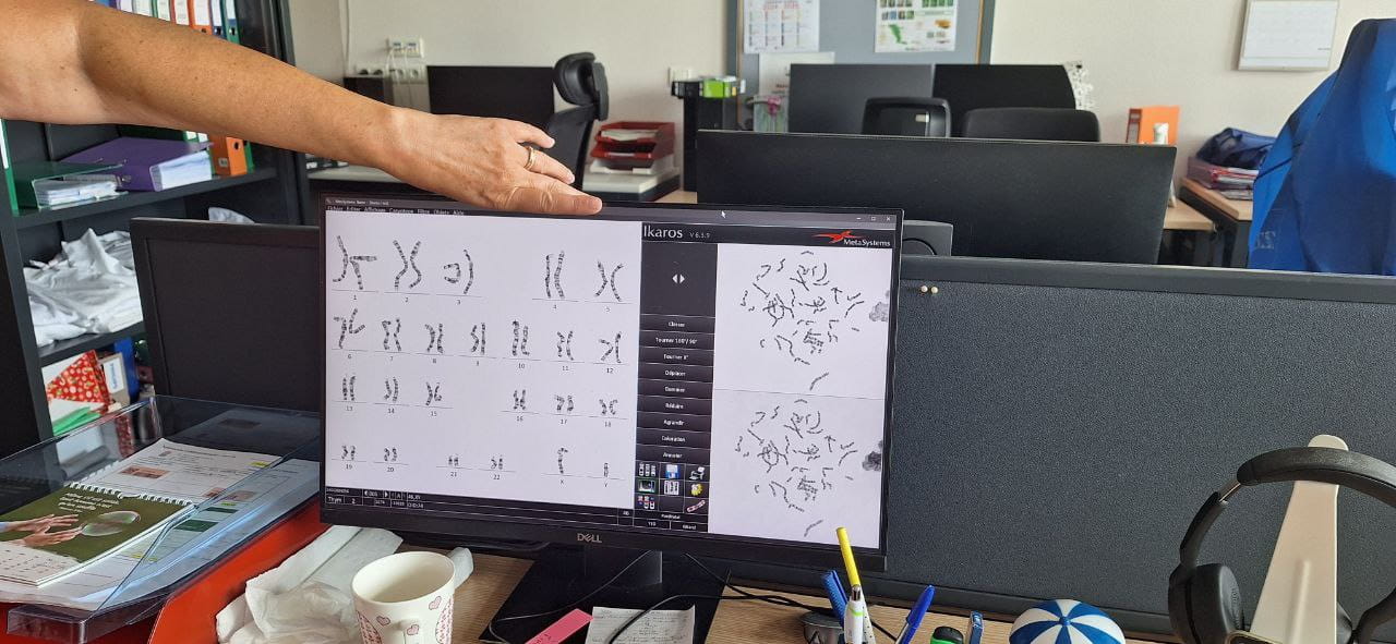 NISC Students Strengthen University Applications with Meaningful Summer Experiences - NISC Students Strengthen University Applications with Meaningful Summer Experiences